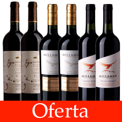 Oferta_Millaman Estate+Millaman Limited+Paya
