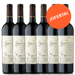 Oferta_La Amistad Se Bebe En Paya