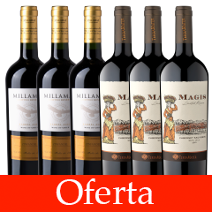 Oferta_Magis+Millaman Limited. 